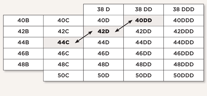 Penningtons Size Chart