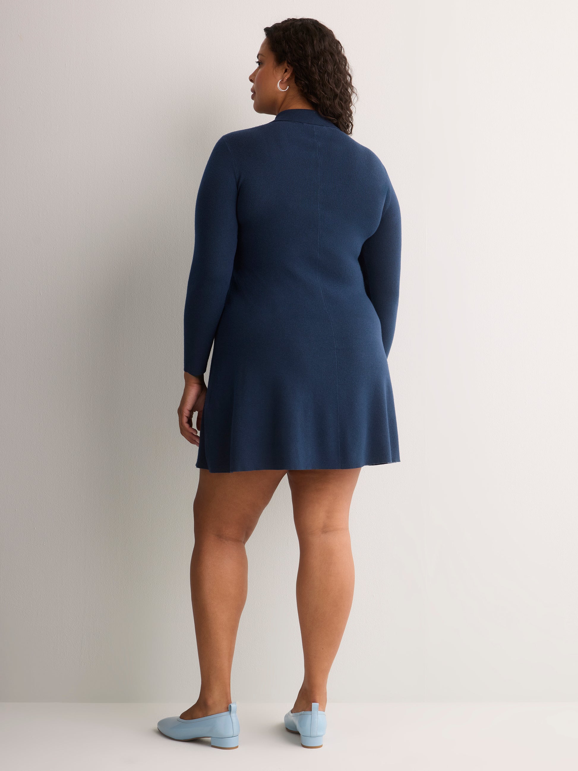 Responsible, Fit-and-Flare Sweater Dress - Addition Elle