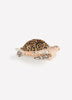 Turtle Hair Claw