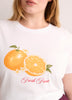 Crewneck Short-Sleeve Knit Top