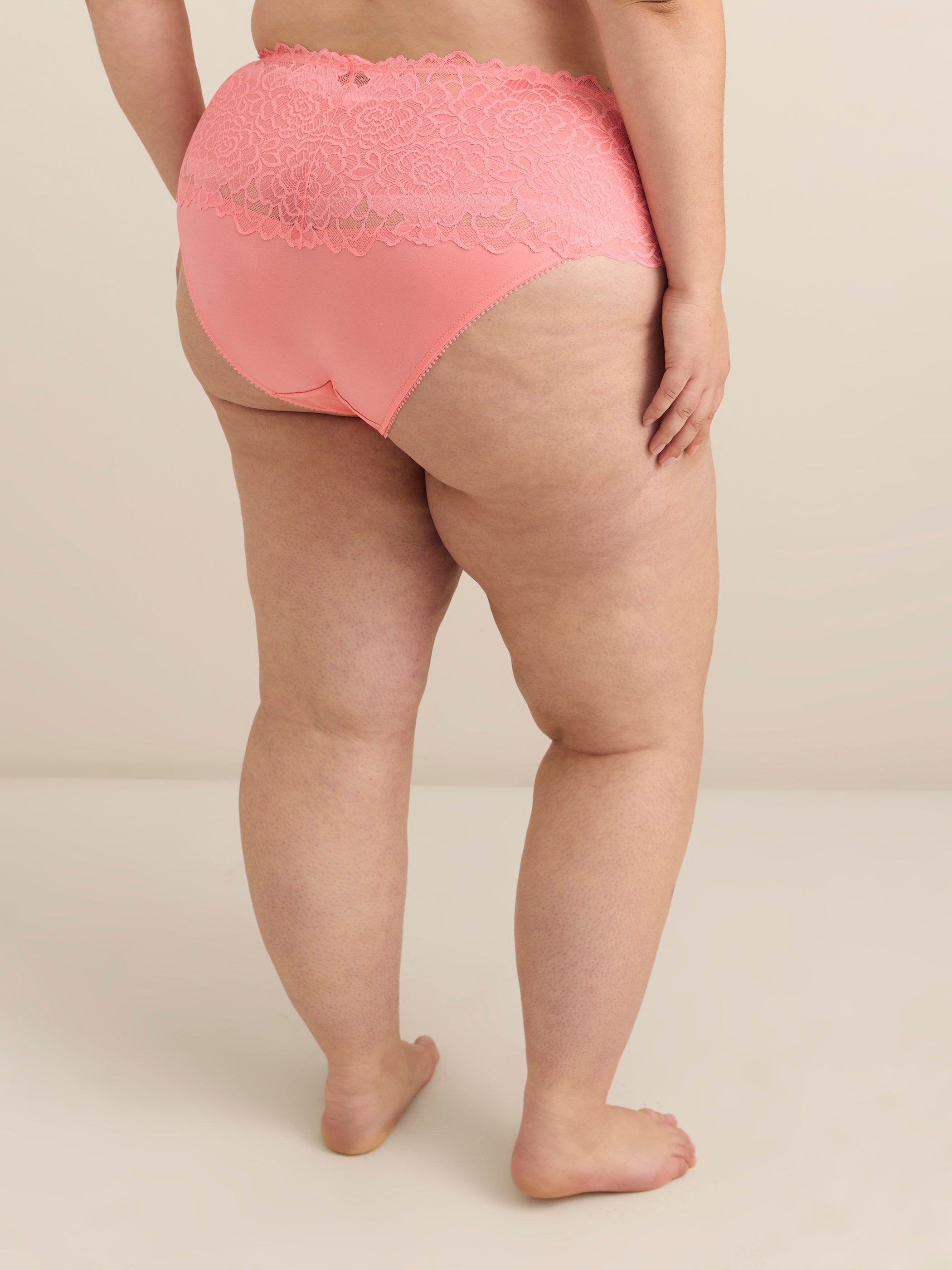 Lace Full Brief - Déesse Collection