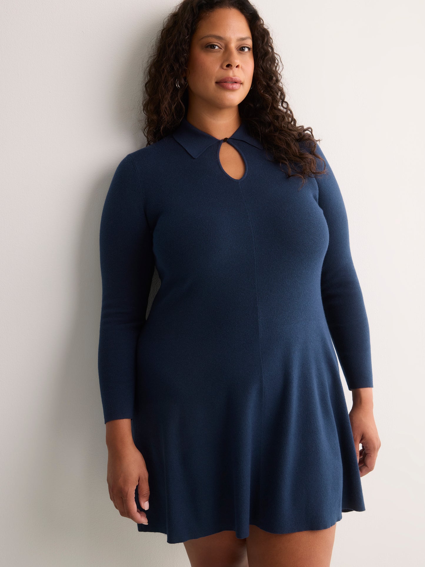 Responsible, Fit-and-Flare Sweater Dress - Addition Elle