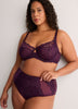 Dark Lace Full Brief with Mesh Inserts - Déesse