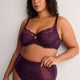 Dark Lace Full Brief with Mesh Inserts - Déesse