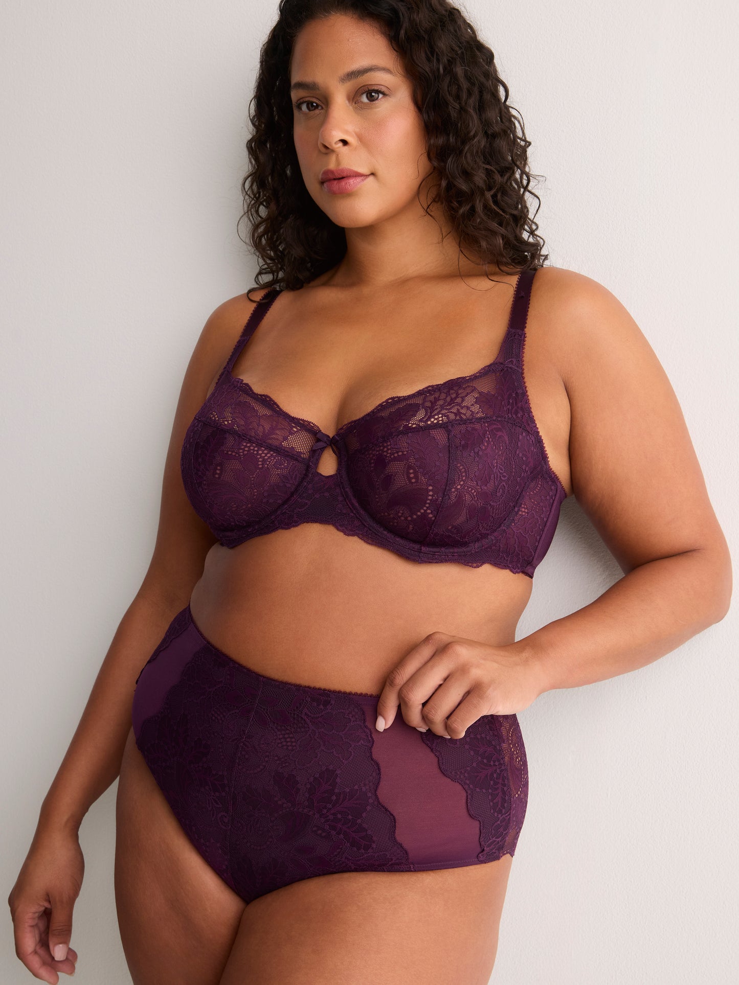 Dark Lace Full Brief with Mesh Inserts - Déesse