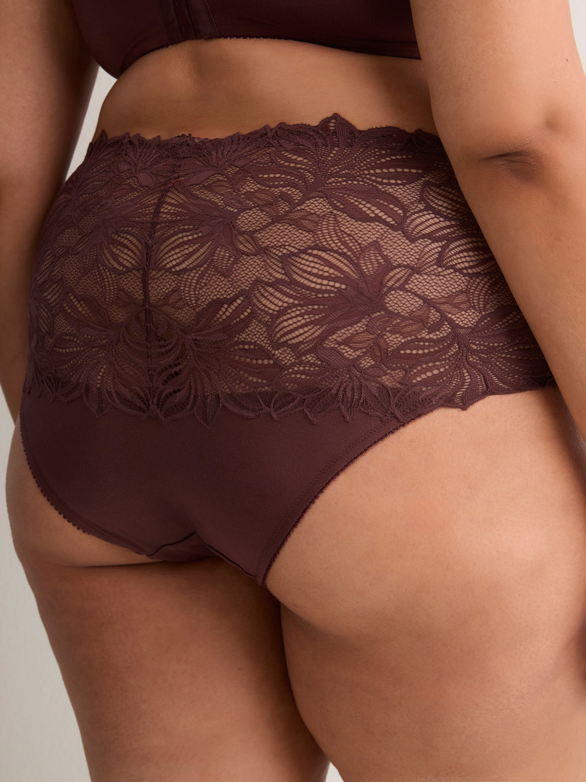 Lace Full Brief - Déesse Collection