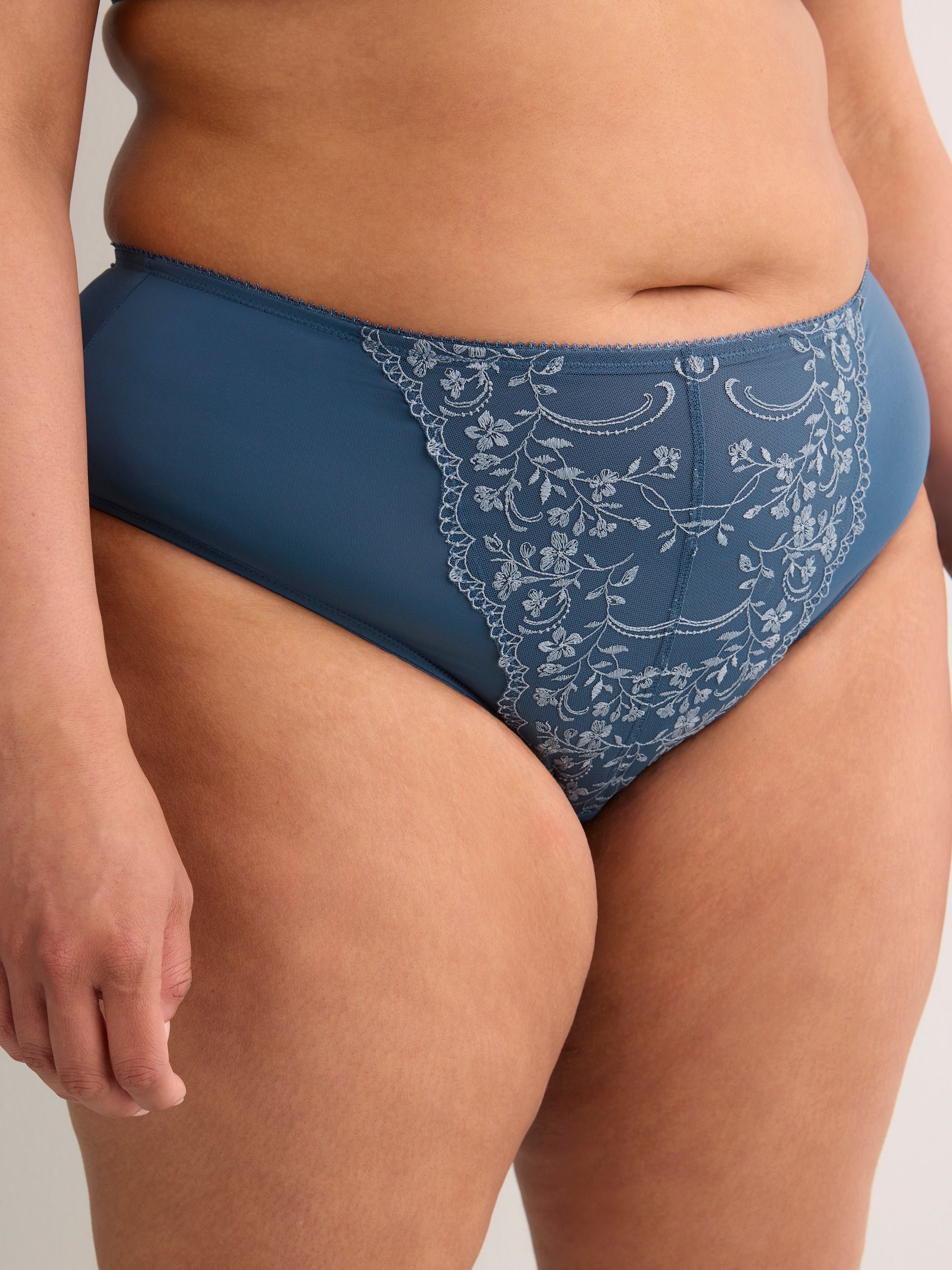 Cheeky Blue Microfibre Brief with Embroidered Mesh - Déesse