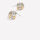 Small Silver and Golden Hoop Earrings
