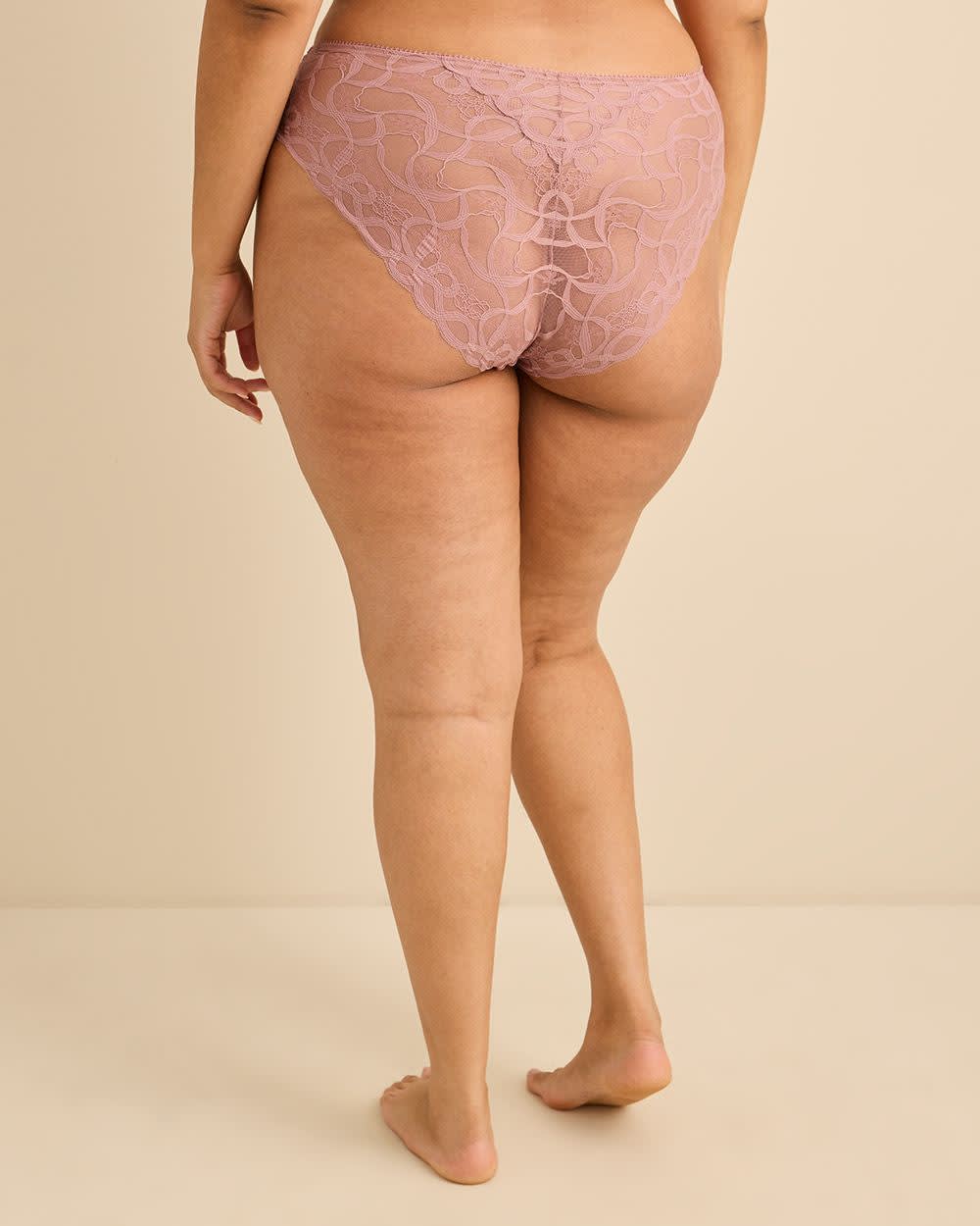 Dark Rose High-Cut Lace Brief with Mesh Inserts - Déesse Collection
