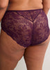 Dark Lace Full Brief with Mesh Inserts - Déesse