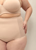 Waist Cincher Brief With Silhouette Control - tiVOGLIO