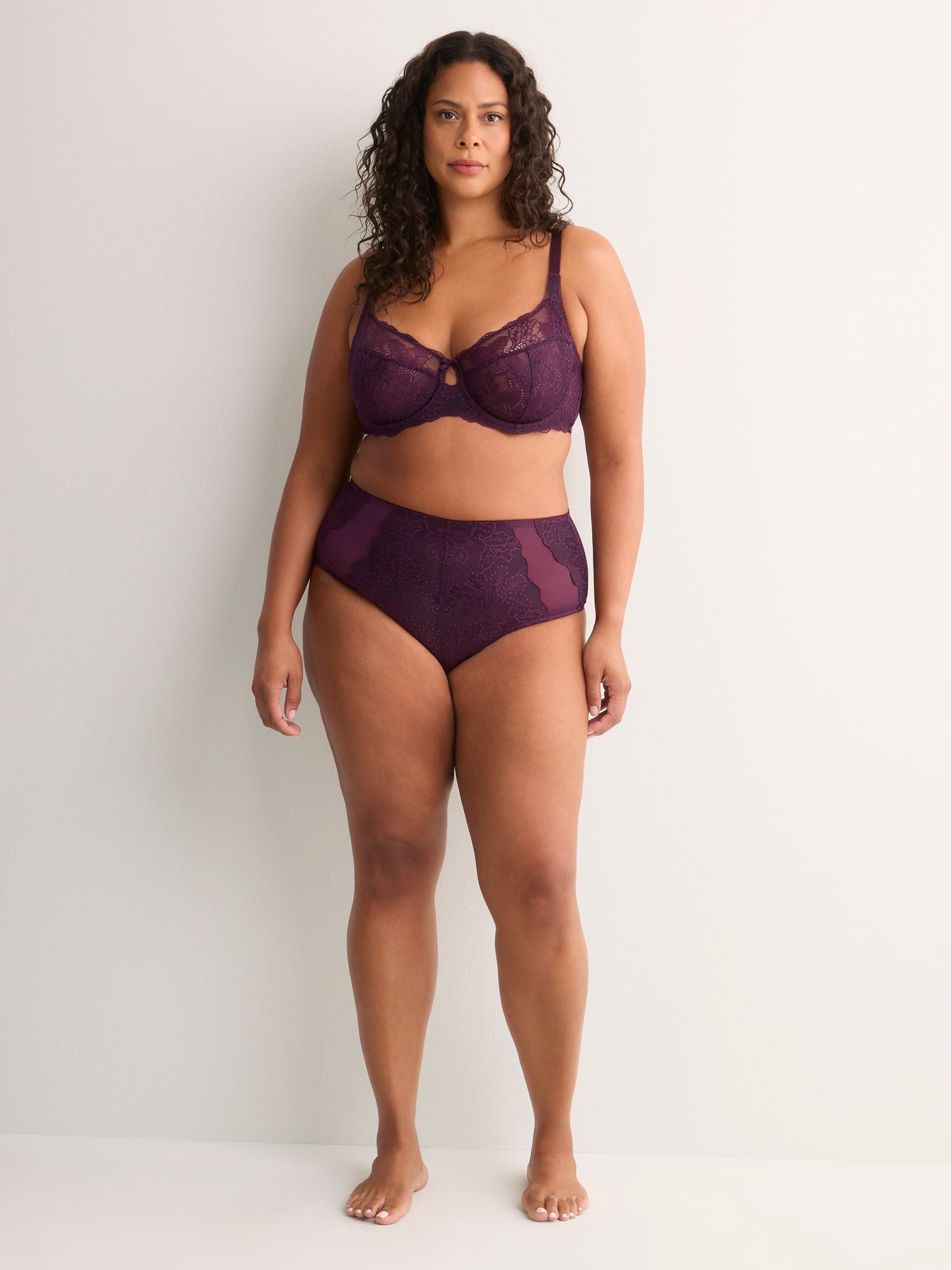 Dark Lace Full Brief with Mesh Inserts - Déesse