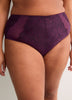 Dark Lace Full Brief with Mesh Inserts - Déesse