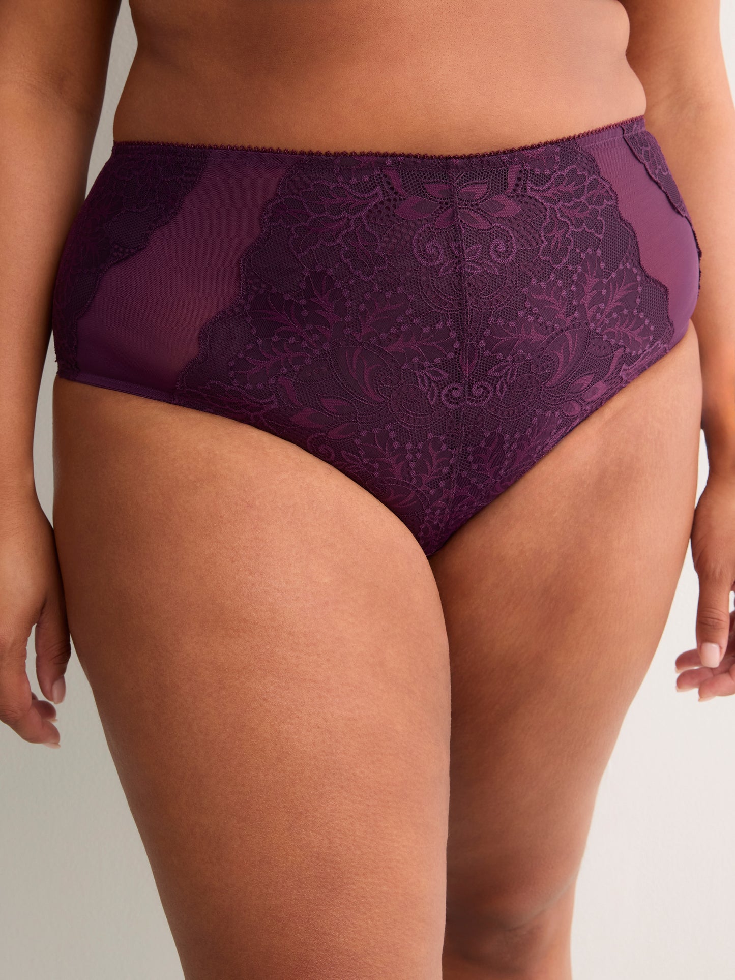 Dark Lace Full Brief with Mesh Inserts - Déesse