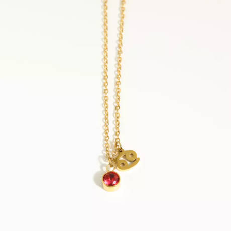 Goldtone zodiac and birthstone necklace in stainless steel - Cancer - Eva Sky2