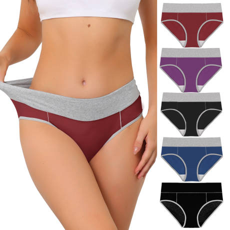 Allegra K- 5 Packs High Rise Brief Stretchy Underwear