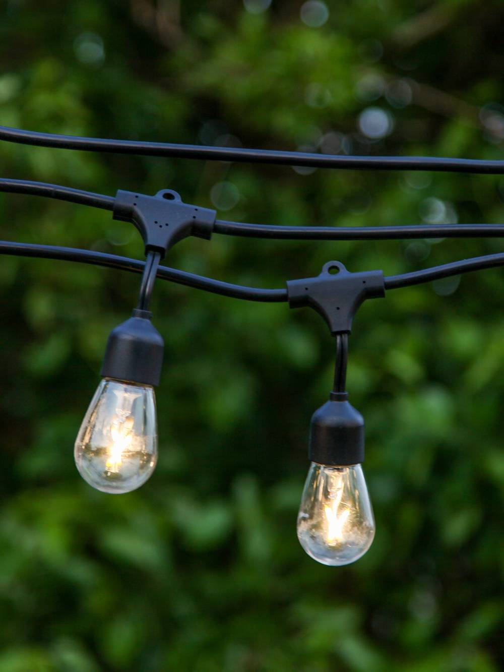 Ambience pro string lights discount