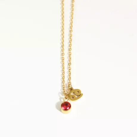 Goldtone zodiac and birthstone necklace in stainless steel - Cancer - Eva Sky2