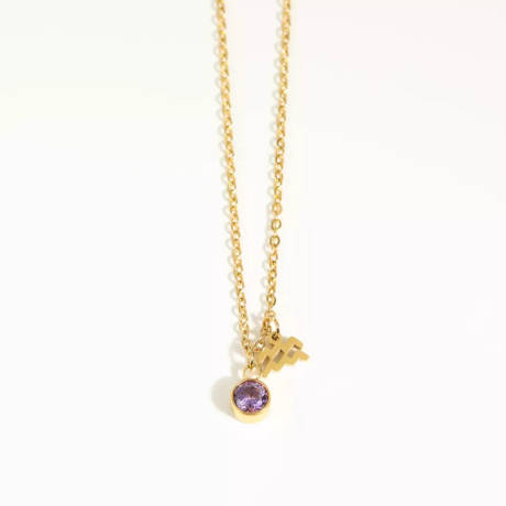 Goldtone zodiac and birthstone necklace in stainless steel - Aquarius - Eva Sky2