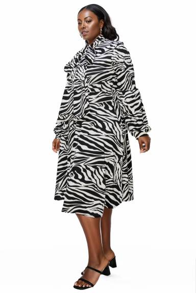 Monáe Zebra Print Pocket Flare Dress - L I V D
