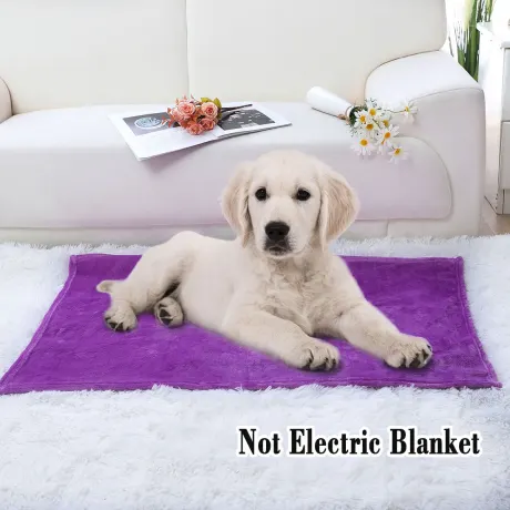 PiccoCasa- Flannel Fleece Plush Microfiber Bed Blanket 27x40 Inch