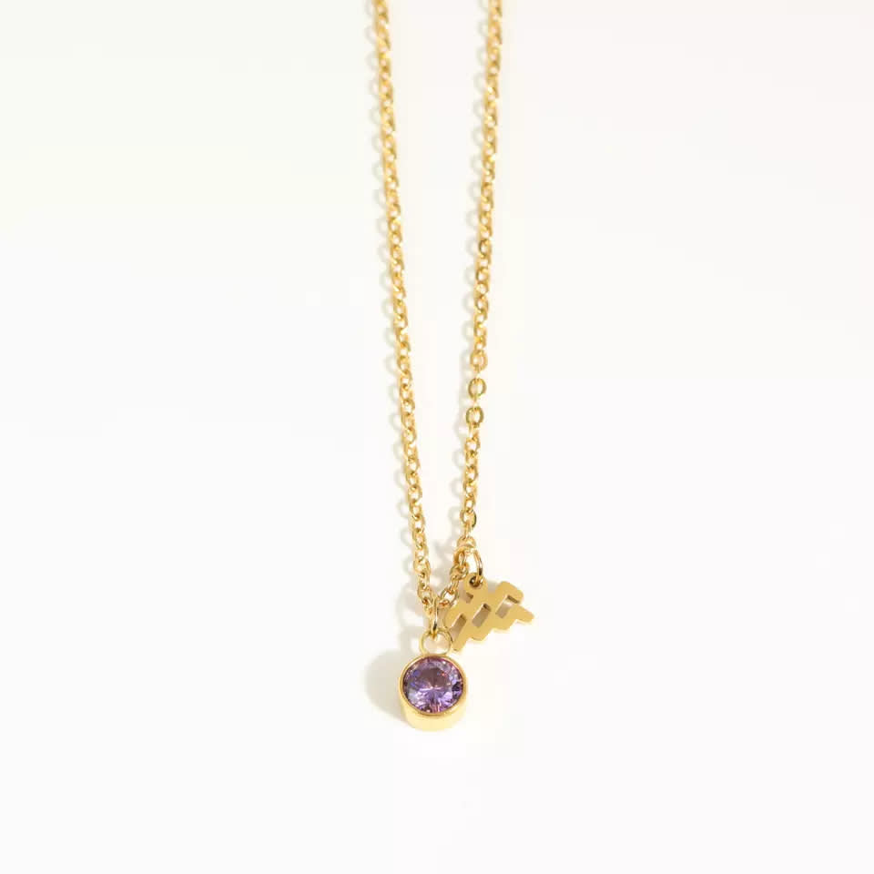 Goldtone zodiac and birthstone necklace in stainless steel - Aquarius - Eva Sky2