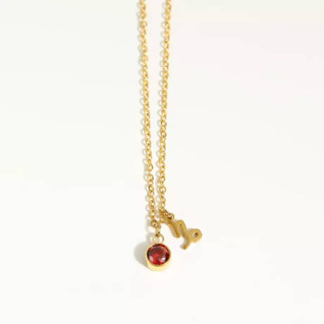 Goldtone zodiac and birthstone necklace in stainless steel - Capricorn - Eva Sky2