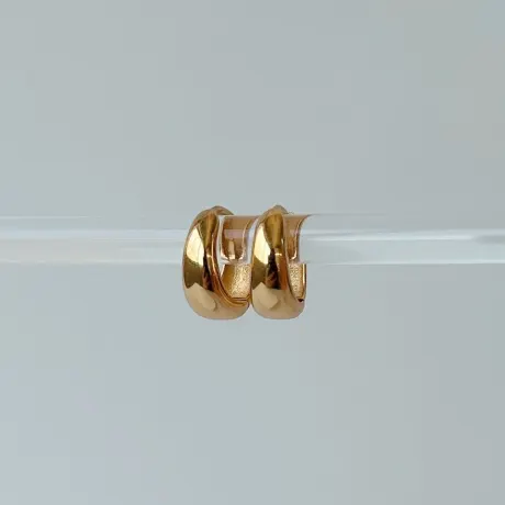 Horace Jewelry - Small thicker hoop earrings Holdo