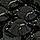 Noire