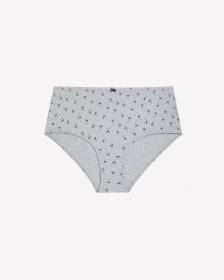 Heather Grey Cotton Brief with Bow Print - ti Voglio