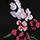 Black Ankle Socks with Flower Print