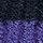 Clematis Blue