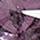 Pewter-