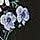 Noir AOP -