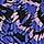 Black Printed-