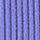 Blue Iris