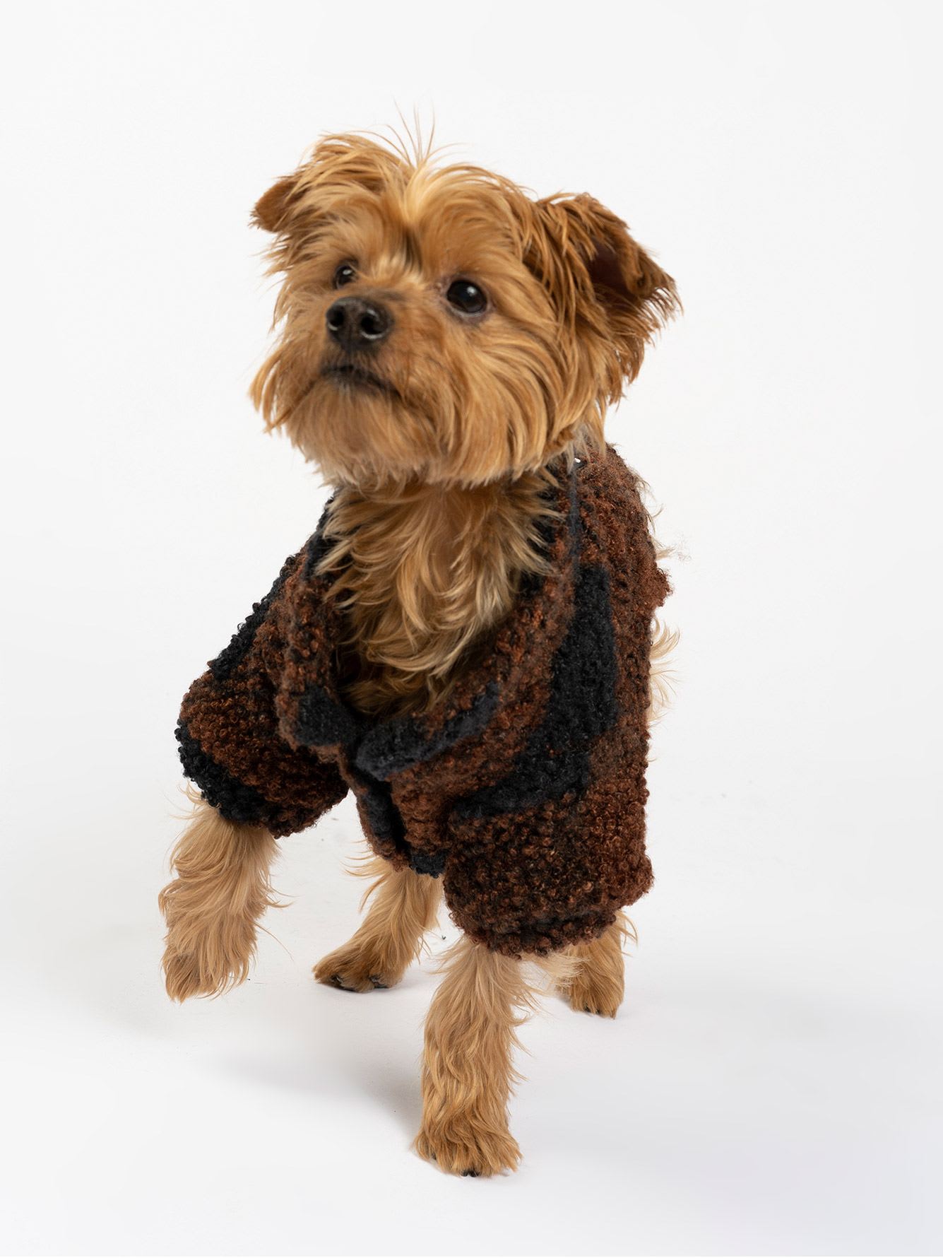 Plaid Dog Jacket with Sherpa Trim Silver Paws Penningtons