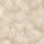 Pumice stone