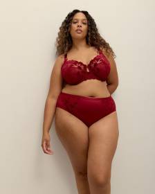 Red Underwire Velvet Lace Bra - Déesse Collection