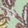 Chemise de nuit verte à motif fleuri et manches courte - ti Voglio