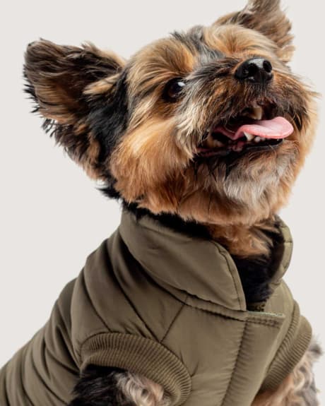 Reversible Quilted Dog Puffer Jacket - Silver Paw