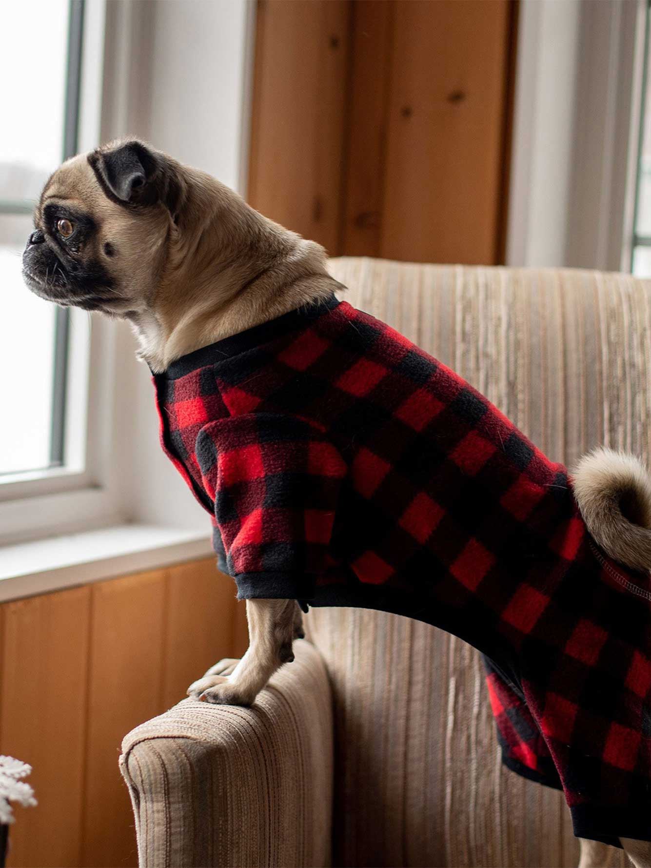 Pyjama pour chien à motif à carreaux - Silver Paw
