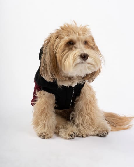 Quilted Colourblocked Dog Jacket - Silver Paws