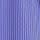 Blue Iris