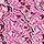Spring Crocus -