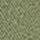 Deep Lichen Green