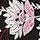 Black Printed-