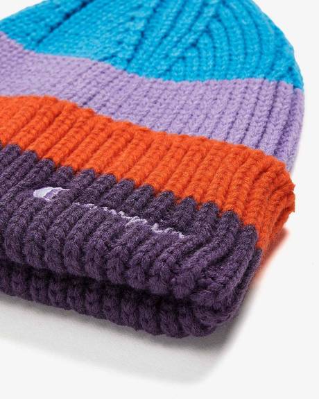 Striped Chunky Ribbed Beanie - Champion