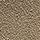 Taupe SW