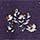 Purple Velvet Printed